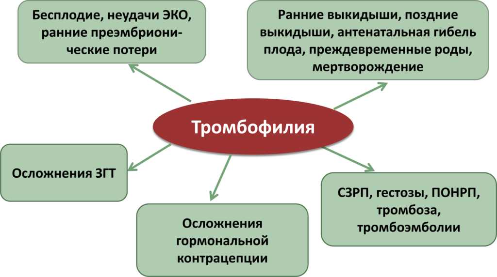 тромбофилия при беременности