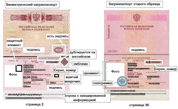 Разница между старым и новым паспортом