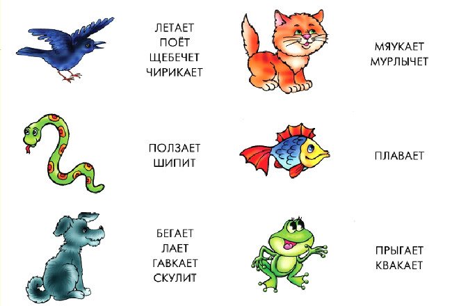 Игра Что делают звери